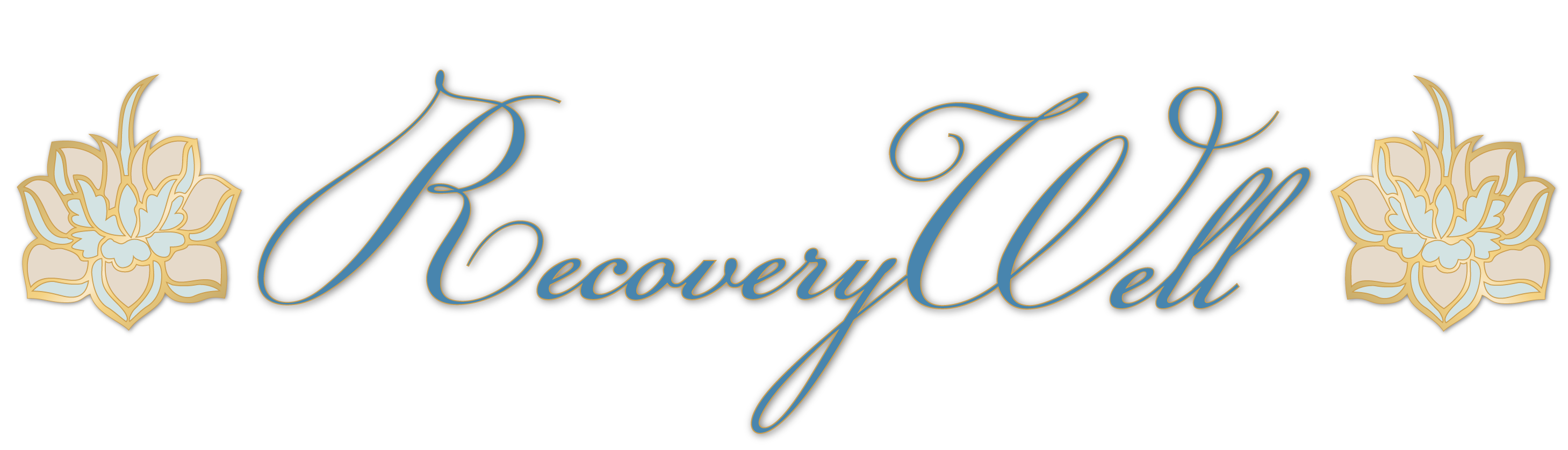 Recovery Well